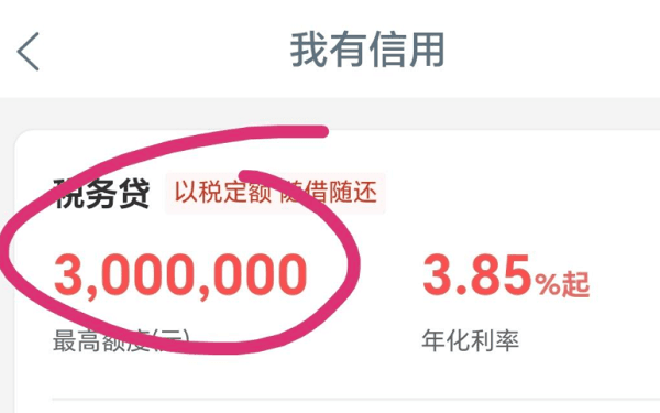工商银行税务贷.png