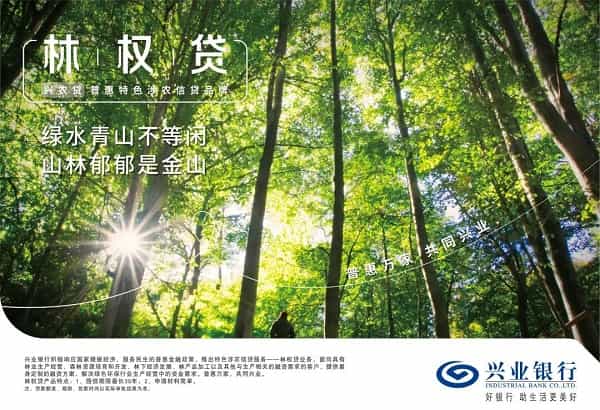 兴业银行林权贷.jpg