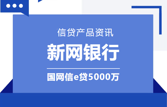 新网银行国网信e贷.png
