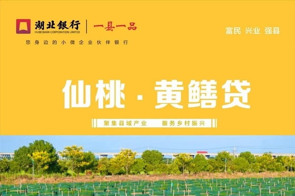 湖北银行黄鳝贷.jpg