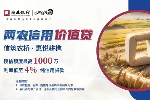 湖北银行两农信用价值贷.jpg