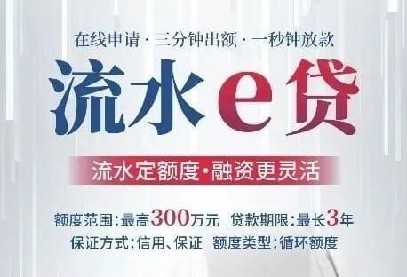 湖北银行流水e贷.jpg