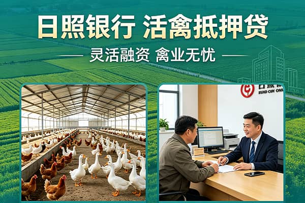 日照银行活禽抵押贷.jpg