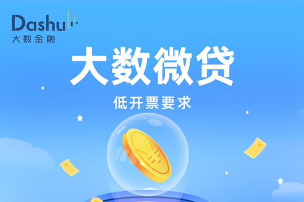 大数微贷.jpg