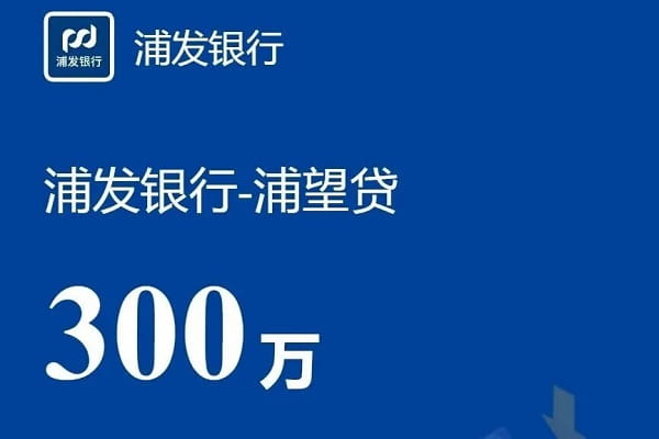 浦发银行浦望贷.jpg