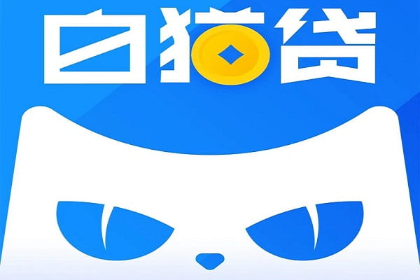 白猫贷.jpg