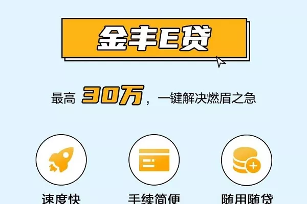 金丰e贷.webp