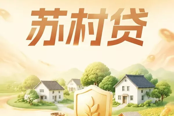 大丰农商苏村贷.webp