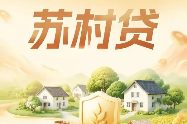苏村贷.webp