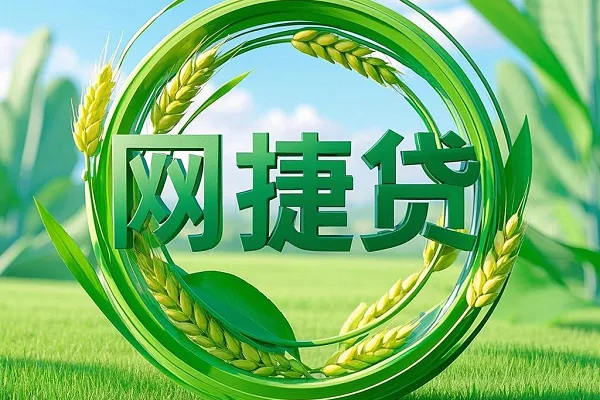 农行网捷贷.webp