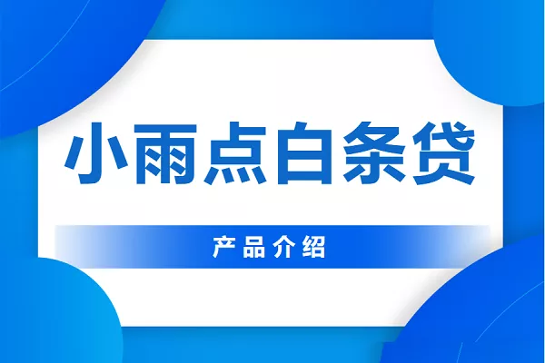 小雨点白条贷.webp